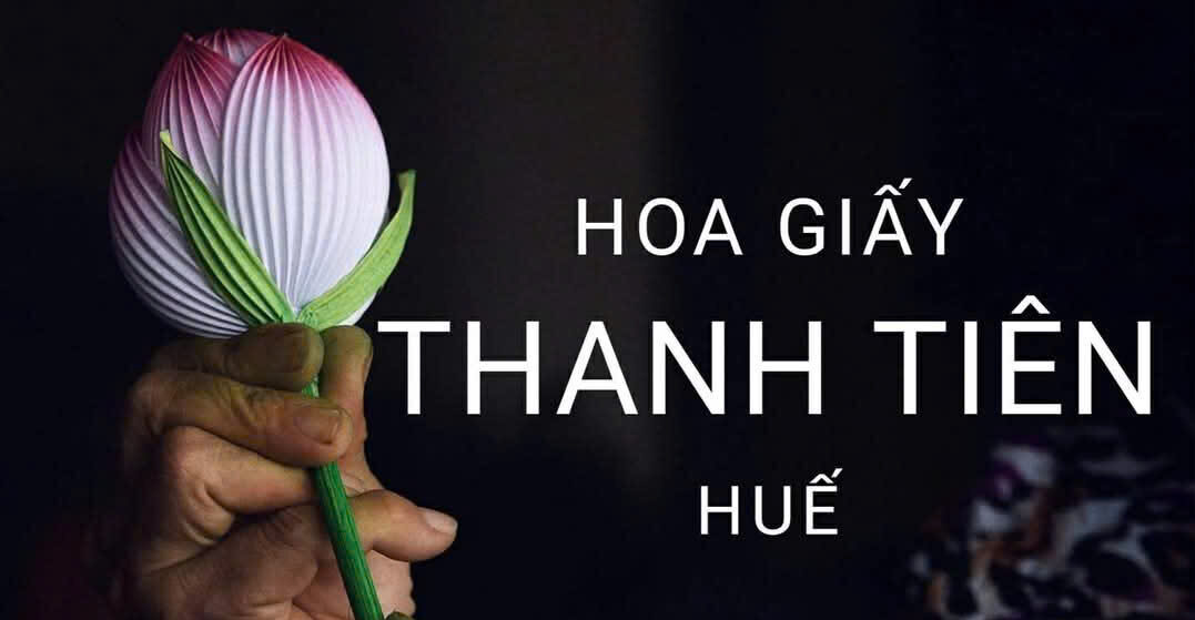 Hoa Giấy Thanh Tiên Huế